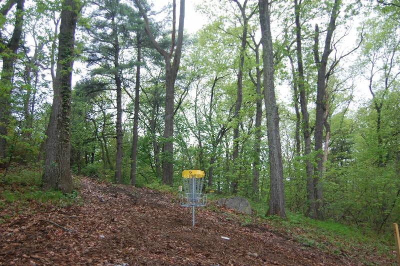 Peabody Disc Golf at Scouting Woods Professional Disc Golf Association